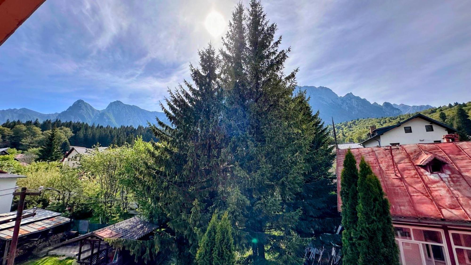 Valea Alba View - Self Check-In Otel Buşteni Dış mekan fotoğraf