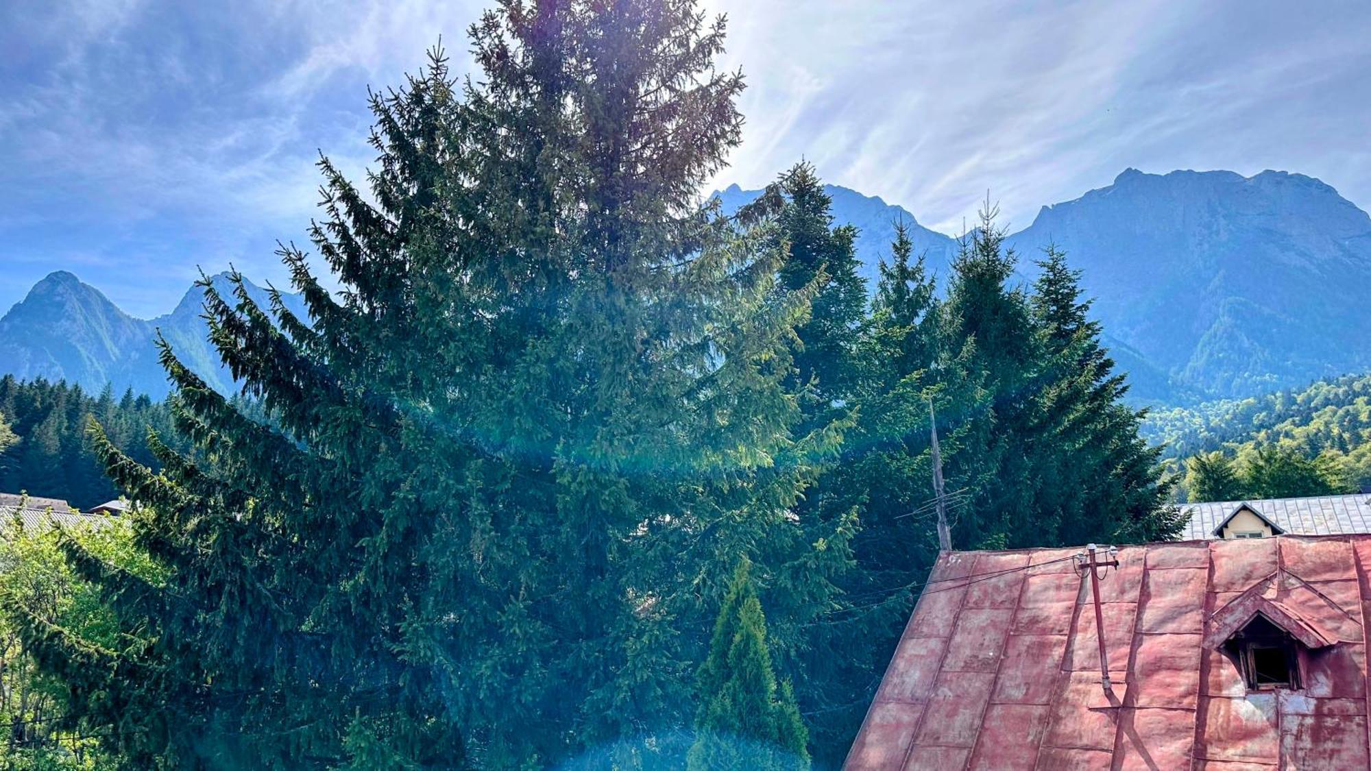 Valea Alba View - Self Check-In Otel Buşteni Dış mekan fotoğraf