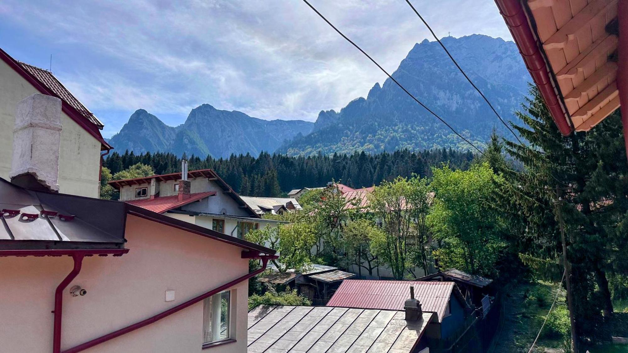 Valea Alba View - Self Check-In Otel Buşteni Dış mekan fotoğraf